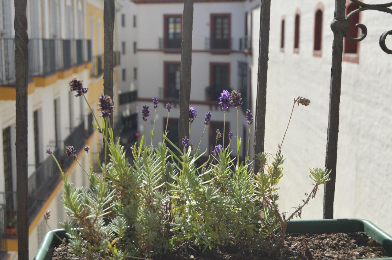 Isg Apartments Precioso Atico Con Terraza Privada En El Centro Sewilla Zewnętrze zdjęcie